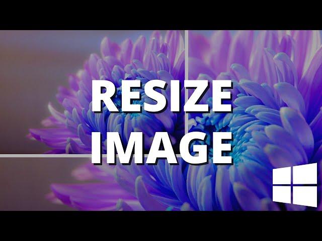 How to resize an image in Windows 11 (step by step)