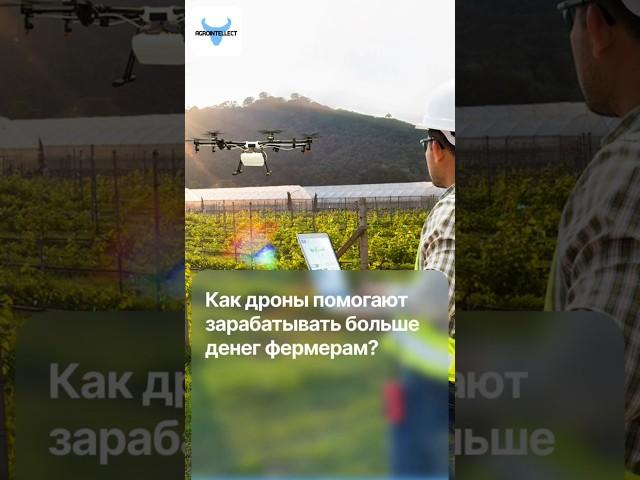 Как дроны помогают фермерам зарабатывать больше денег?