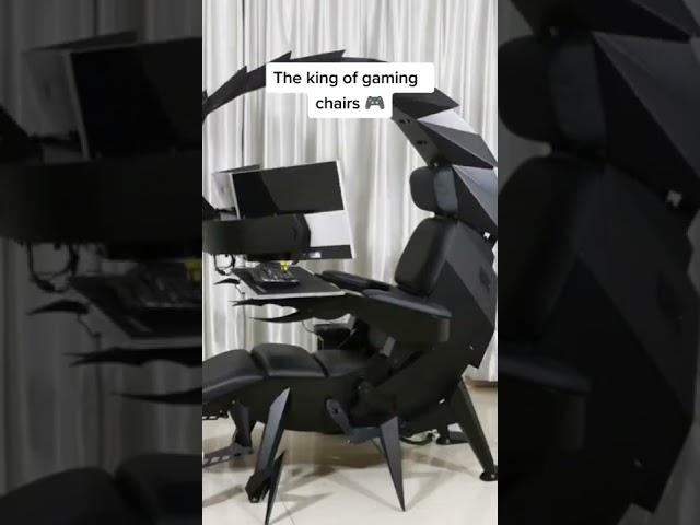 scorpion gaming setup