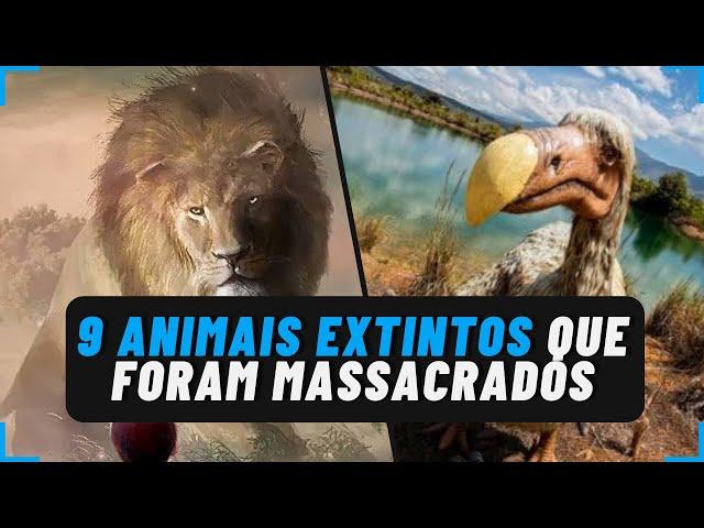 9 ANIMAIS EXTINTOS que foram MASSACRADOS pelo homem