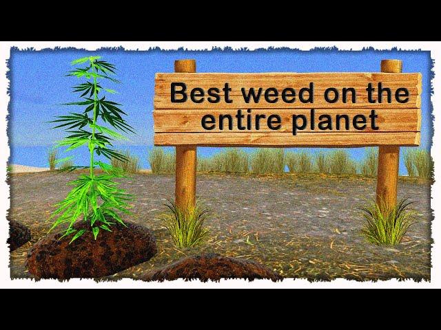 I am but a humble weed farmer