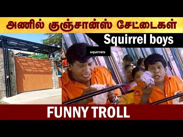 Squirrel boys சேட்டைகள் - Funny Troll #TVK | #Vijay | #Actorvijay | #Troll | #politalks | #caa