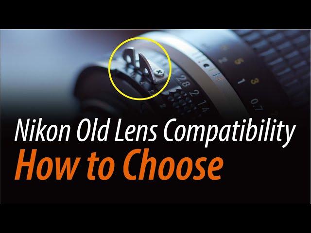 How to Choose Nikon Old Lenses // Nikkor Lens Selection Guide