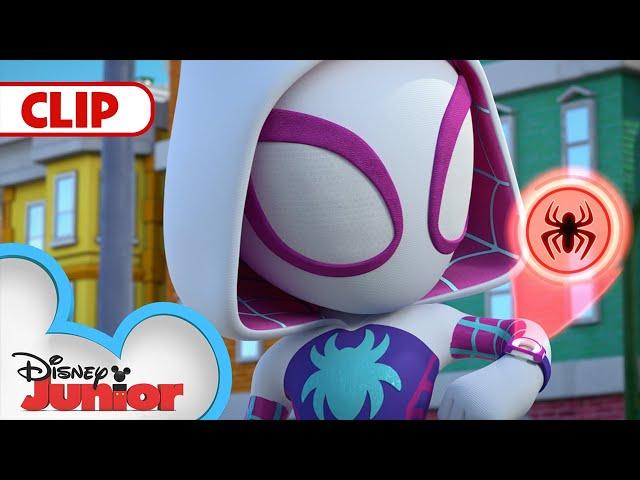 Aunt May's Mess | Marvel's Spidey and His Amazing Friends | @disneyjr