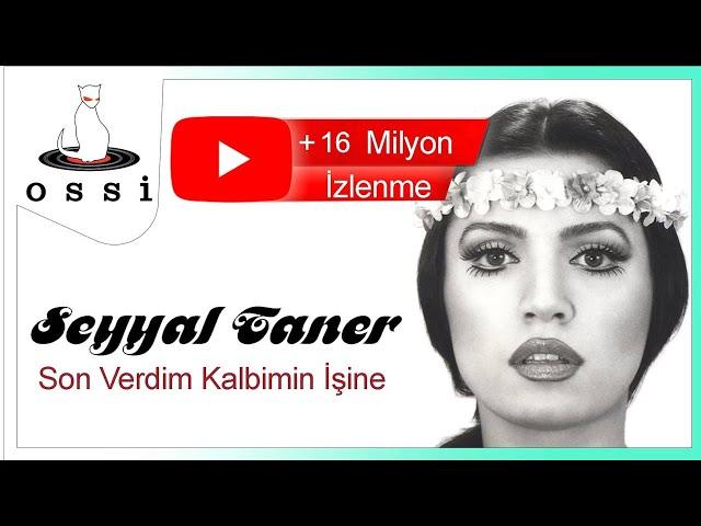 Seyyal Taner - Son Verdim Kalbimin İşine