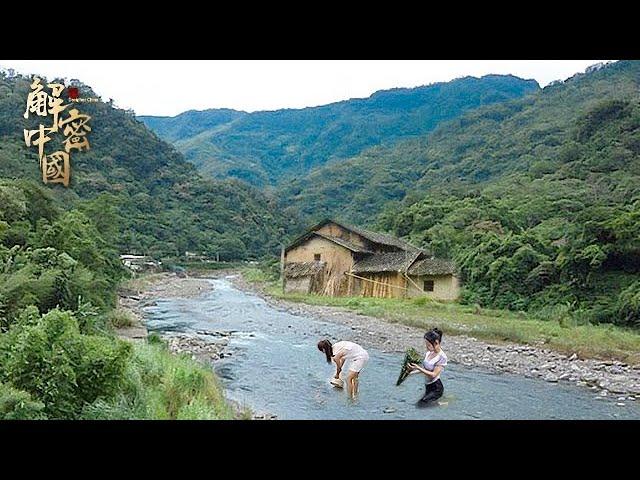 广西大瑶山腹地，偏远落后，村民一辈子没出过大山，靠野菜河鱼充饥，如今以种草药为生【边城纪录】