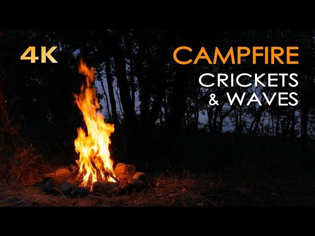 4K Campfire by the Sea - Crickets & Ocean Waves - Night Forest Nature Sounds - Relaxing Fireplace