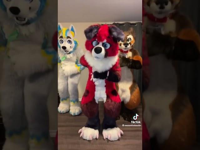 Fursuit Dance ! #furry #furries #furrys #furrytrash #fursuit #fursuitdance #fursuiter #fursuitmaker