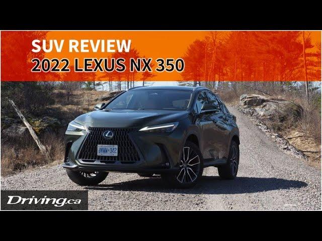 2022 Lexus NX 350 | SUV Review | Driving.ca