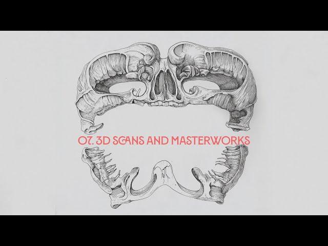 Anatomy With Purpose: A 3D Artist's Guide To What's Important. 07, 3D Scans and Masterworks