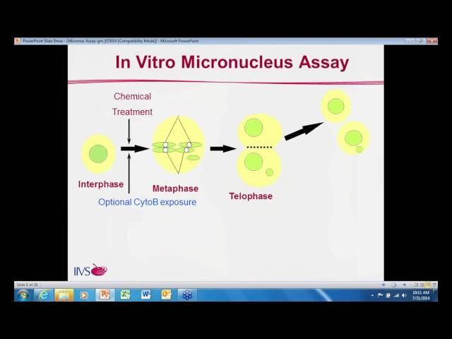 Reconstructed Human Skin Micronucleus Assay RSMN   A novel micronucleus assay in a 3D human skin mod