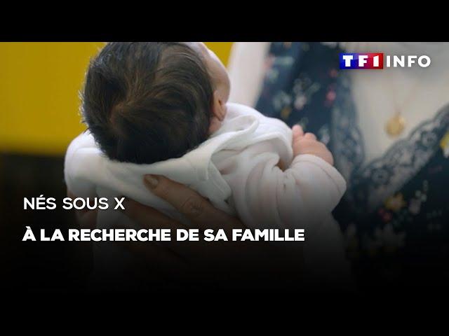 REPORTAGES - Nés sous X : à la recherche de sa famille