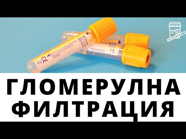 ГЛОМЕРУЛНА ФИЛТРАЦИЯ I ПЪРВИЧНА УРИНА I НЕФРОН I БЪБРЕЧНО ТЕЛЦЕ I ПРИМКА НА ХЕНЛЕ I ГЛОМЕРУЛ