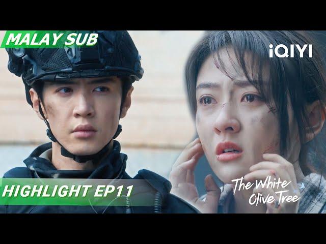 Li Zan's Fate Uncertain! Song Ran Injured, Returns Home|The White Olive Tree| iQIYI Malaysia