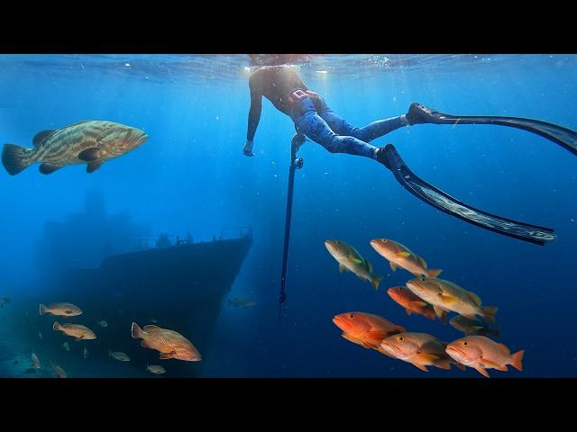 Spearfishing INSANE SHIPWRECKS Offshore! Fighting GIANT GROUPERS! Catch n Cook