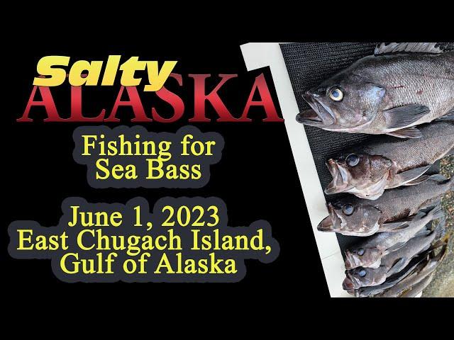 Sea Bass Fishing - Gulf of Alaska, near East Chugach Islands, includes underwater footage!