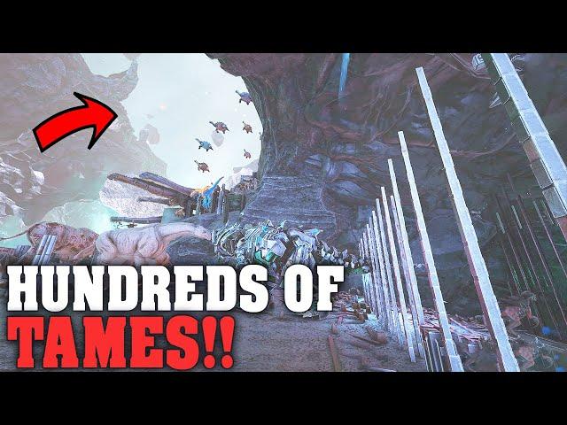 They Whistled Hundreds Of Dinos into Our Turret Wall!! | Ark Genesis Official PVP E54