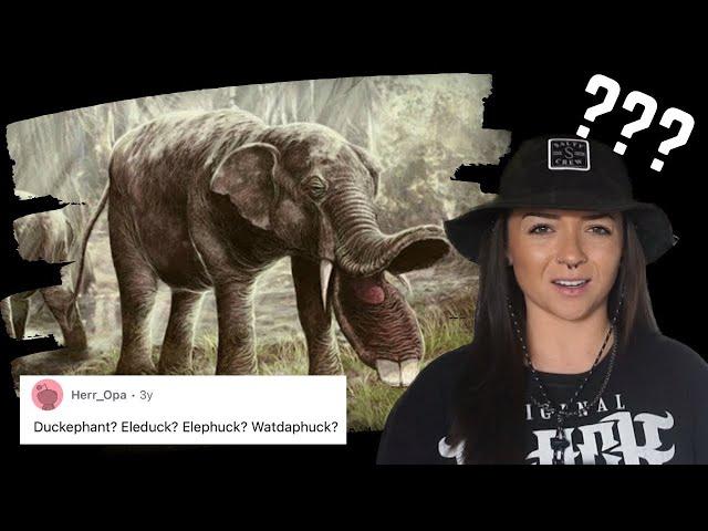 The weirdest "elephant" to ever exist