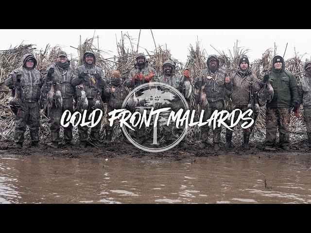 Duck Hunting- EPIC SNOW DAY in flooded corn