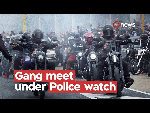 Police 'actively monitoring' large Mongrel Mob gathering in Nelson | 1News on TVNZ+