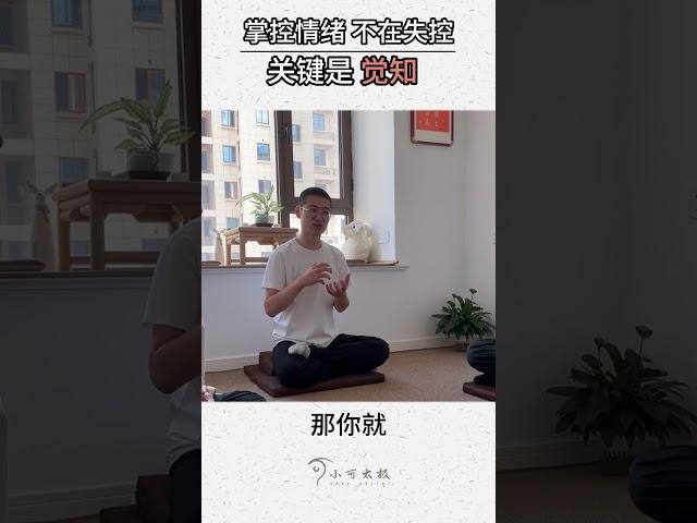 觉知的力量：掌控情绪，不在失控