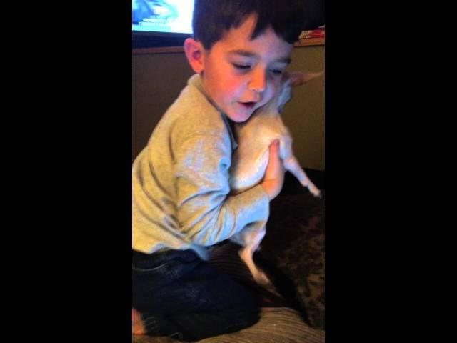 My son Ajay and our chihuahua Reese