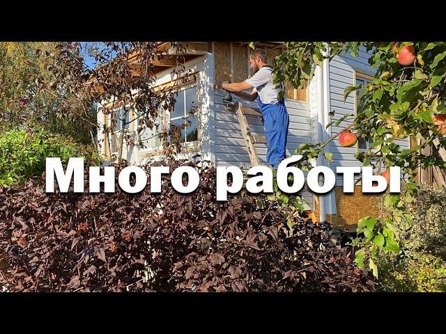 Первое дело осени сделано // Шью сайдинг, что есть силы // Спасаюсь от мышей