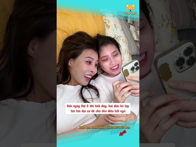 Bạn thân rủ thức nguyên ngày để xem bói  #shorts #haihuoc #funny #giaitri #haihuocvuinhon
