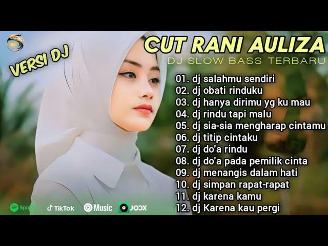 CUT RANI - DJ SALAHMU SENDIRI|DJ RINDU TAPI MALU DJ OBAT RINDUKU || DJ POP  MELAYU TANPA IKLAN