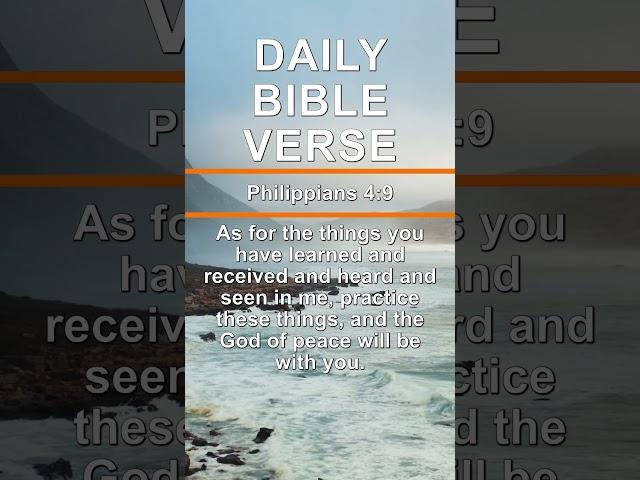 Daily Bible Verse - Philippians 4:9 | #shorts