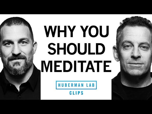 The True Purpose of Meditation | Dr. Sam Harris & Dr. Andrew Huberman