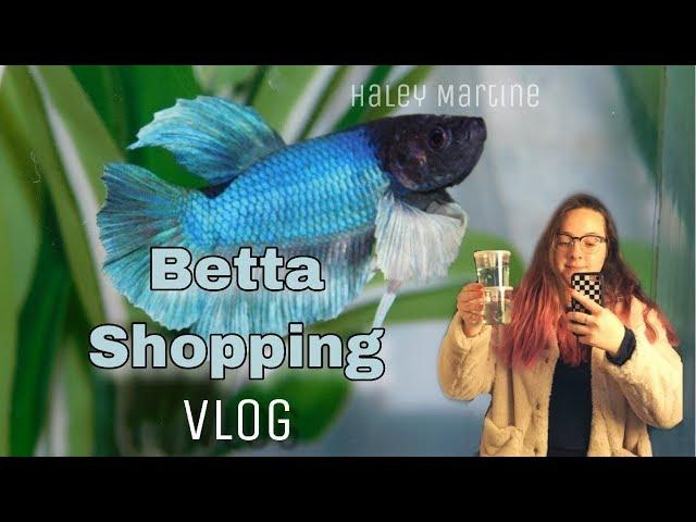 Betta Shopping Vlog