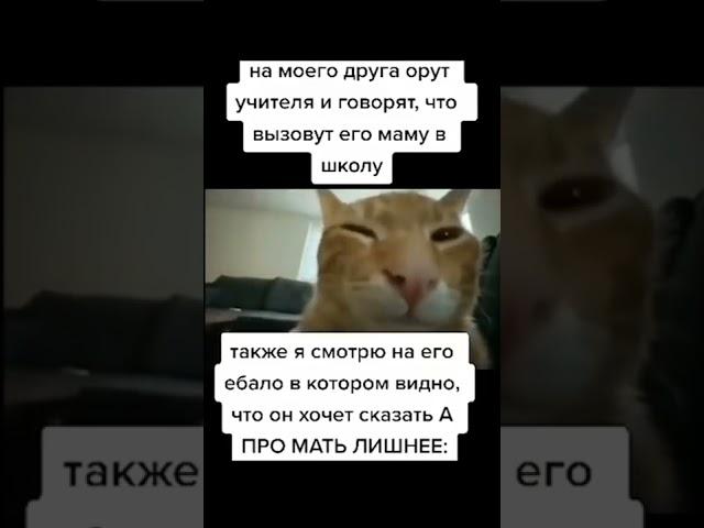 #мемы #мем #а4 #угар