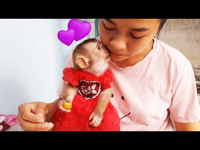 Baby monkey Lyly is very smart and has learned to peel longan very quickly