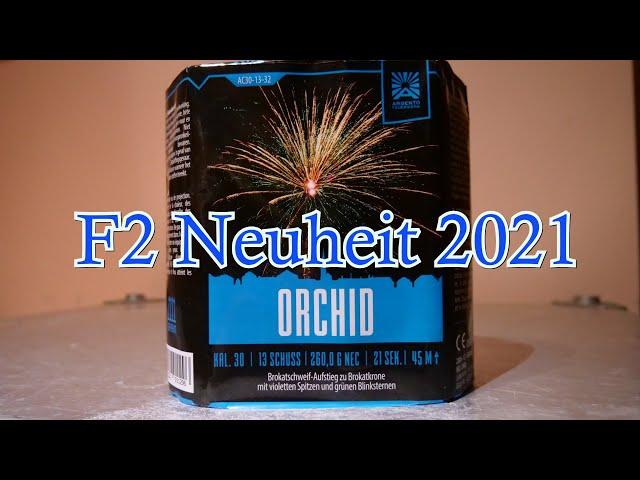 Argento Orchid Neuheit 2021