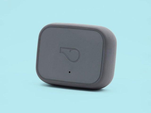 Whistle 3 (BEST GPS Pet Tracker and Activity Monitor)