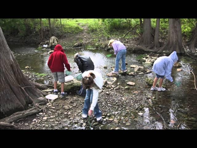 Volunteer as a Nature Educator