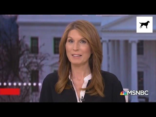 The Typhoid Mary of Disinformation: Nicolle Wallace