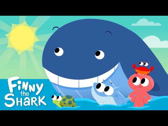 Mr. Golden Sun | Kids Song | Finny The Shark