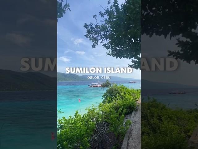 Sumilon Island, Oslob, Cebu ️