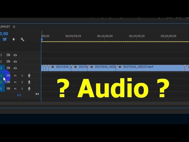 Why there is No Sound in Premiere Pro (Audio track missing, JPG)