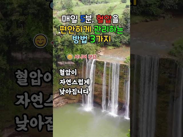 자연스럽게 혈압을 돌보는 5분 건강 루틴 알려드립니다  #자연건강법 #시니어건강 #9988건강정보 #복식호흡 #느린걷기 #하루5분루틴