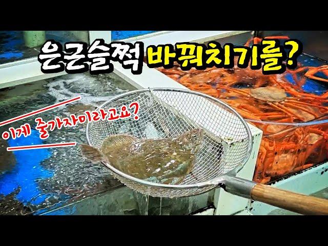 Experience of Daepohang Fish Market, a hot place in Sokcho, Korea!