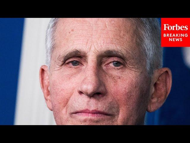 Fauci Asked Point Blank About Likely Impending GOP Oversight Hearings
