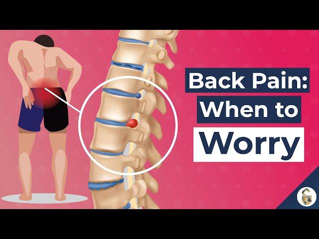 Low Back Pain Causes (and 7 Worrying Signs)