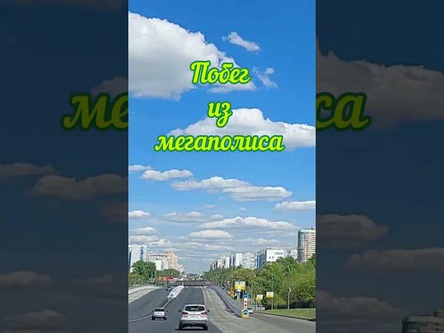 Побег из мегаполиса. Эдвард Григ "Шествие гномов"
