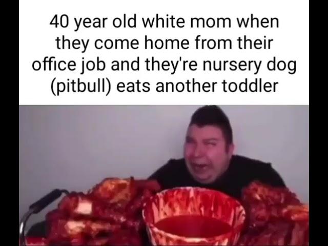 Pitbull eats a toddler