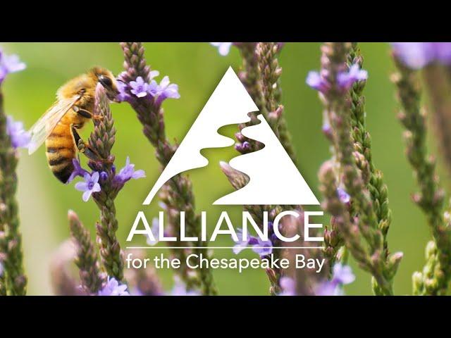 Alliance for the Chesapeake Bay: 2022 Program Video