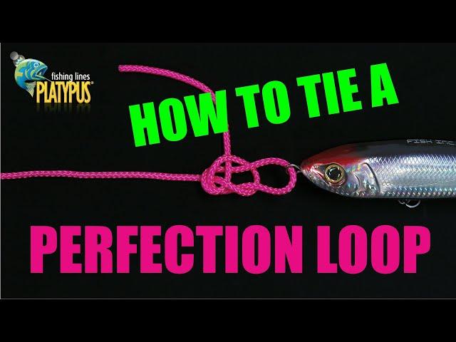 How to Tie a Perfection Loop - Tackle Tactics Animated Knot Series