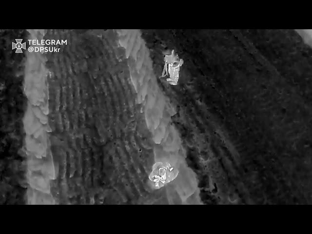И снова пограничникам есть работа - очередные беглецы были пойманы на Молдавской границе.